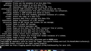 Validating Avro Files using Avro Tools
