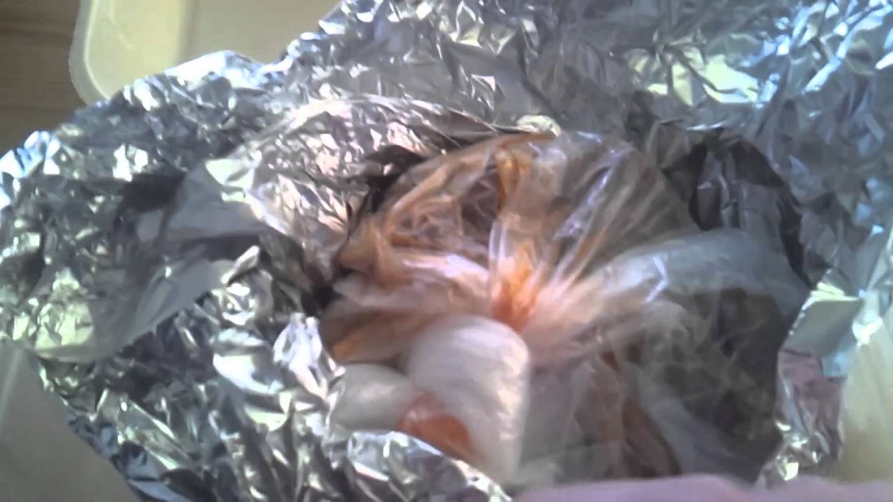 Testissä siivet: Kalevan Pizzeria