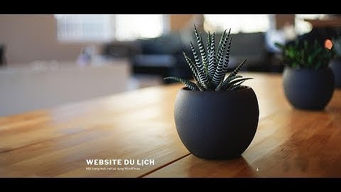 Hướng dẫn cài Wordpress với tên miền ảo, sử dụng Xampp