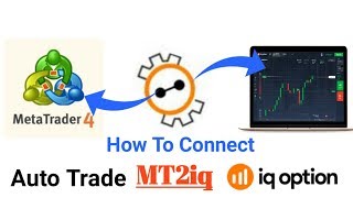 Forex Auto Trading Robot