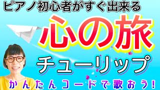 ピアノ初心者 】心の旅 チューリップ #心の旅 #チューリップ ピアノ
