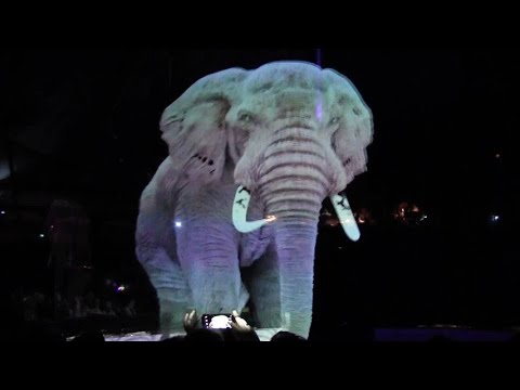 Video: Circo Tedesco Con Animali Olografici