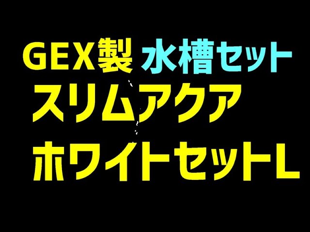Gex製水槽立ち上げ スリムアクアホワイトセットl 開封 作動テスト スリムフィルター 付き めだか Gex 水槽 Youtube