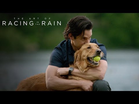 The art of racing in the rain movie times