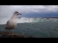 САМЫЕ КРАСИВЫЕ И БОЛЬШИЕ ВОДОПАДЫ ЗЕМЛИ С ПТИЧЬЕГО ПОЛЁТА - В СОПРОВОДЖЕНИИ КРАСИВОЙ МУЗЫКИ