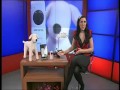 Ultrasonic Bark Stop - buy it on bid.tv Ultrasonic Bark Stop - buy it on bid.tv