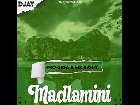 Madlamini(Vocal Mix)