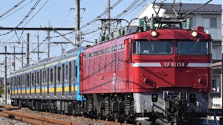 EF81ー134号機＋E131系ナハT4編成配給 #新津配給　2023.11.1