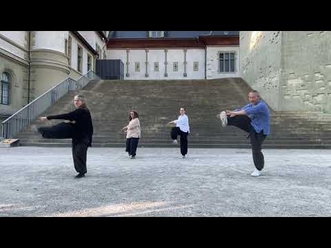 Chen Bing Taiji Academy Switzerland / Chen Taiji Bern