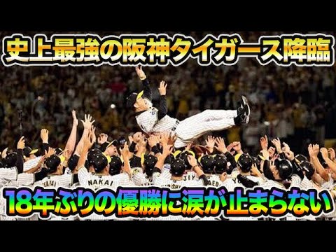 【伝説の11連勝で史上最速】18年ぶりのアレ(優勝)に涙が止まらない.. 原監督の完全お手上げコメントについて【阪神タイガース】