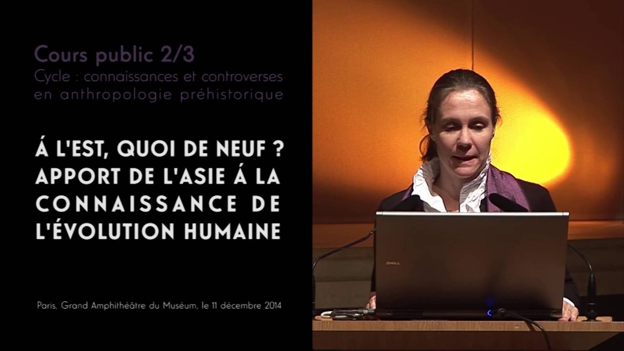 A l'est, quoi de neuf ? Apport de l'Asie à la connaissance de l'évolution humaine (2/3)