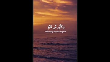 ٱلَّذِينَ صَبَرُواْ وَعَلَىٰ رَبِّهِمۡ يَتَوَكَّلُون القارئ عبد الرحمن مسعد
