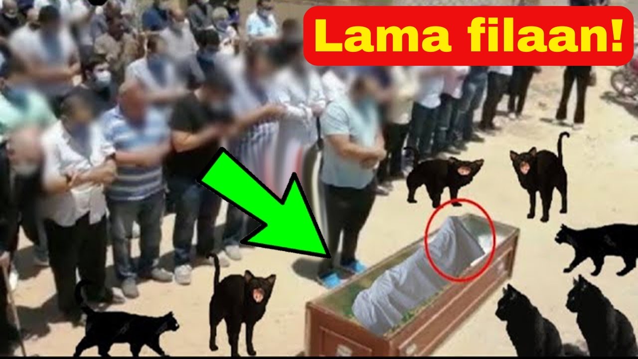 bisado tira badan ayaa janaasadeeda raacay si ay uga aar guttaan, markii dib loo furayna lama filaan