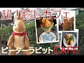 超！癒しのカフェ！ピーターラビット映画の世界！ピーターラビットカフェ自由が丘店に行ってきました！