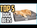 Top 5 Best  Dog Beds in 2020 Reviews