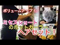 【ボリュームアップスタイル】ミセスショートのホットカーラーヘアセット！東京都狛江市の美容室ナップからシャンプーブローのご提案！