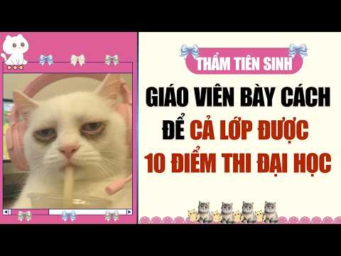 FULL AUDIO | GIÁO VIÊN BÀY CÁCH ĐỂ CẢ LỚP ĐƯỢC 10 ĐIỂM THI ĐẠI HỌC | THẨM TIÊN SINH AUDIO