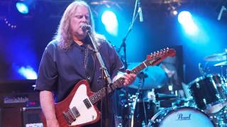 Watch Govt Mule Endless Parade video