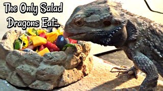 Salads That Beardies Will Actually Eat (w/Elle's Reptiles)