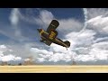 Pitts S-2B ''Wild One'' Ultra 3D Av On Real Flight 9.5 HH