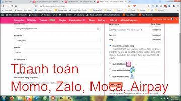 Cách cài đặt thanh toán Zalo  Momo, Airpay cho website - Trương Đình Nam