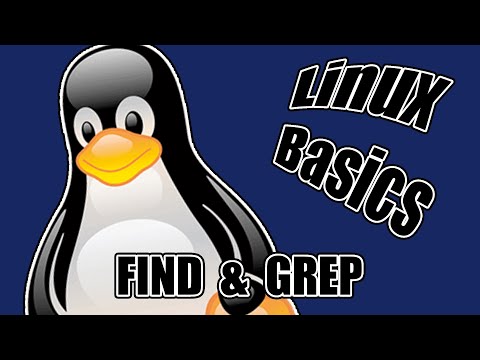 Video: Een Bestand Vinden In Linux