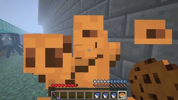 Minecraft: CRAZY SQUIDS HIDE AND SEEK!! - Morph Hide And Seek - Modded Mini-Game