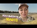 ЗОЛОТО НА ВЫСОХШЕЙ КУБАНИ! Река ДО и ПОСЛЕ рекордной ЗАСУХИ! Находка 585!