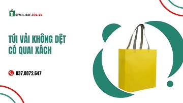 Túi Vải Không Dệt Có Quai Xách |  tuivaigiare.com.vn