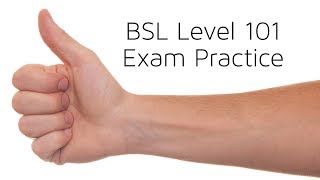 BSL Level 101 Exam practice
