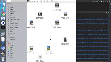 How to collect pictures from Google maps