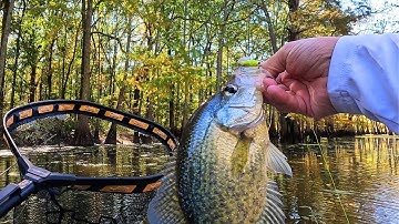 Fall Crappie Fishing SECRETS: personal Tricks Revealed!