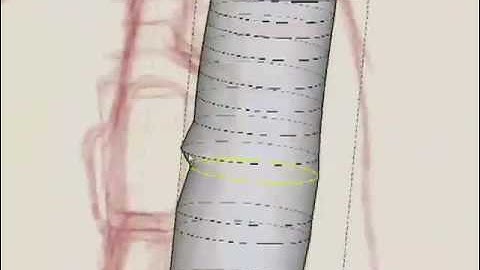 SketchUp Modeling - Female Character Part 1
