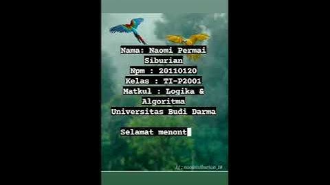 Program Menghitung Nilai Luas Persegi Panjang menggunakan Apk Pascal N-IDE