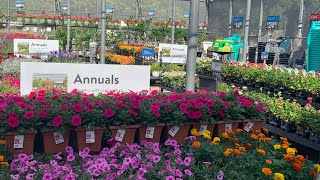 Walmart Garden Spring Inventory Center Come Shop With Me April 2024