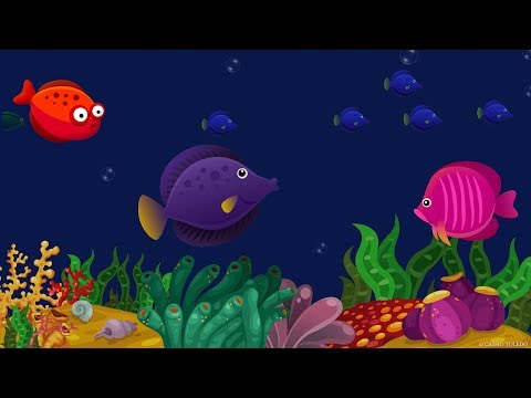 Vídeo: Ensayo Fotográfico: Dormir Con Los Peces En El Acuario De NOAA - Matador Network