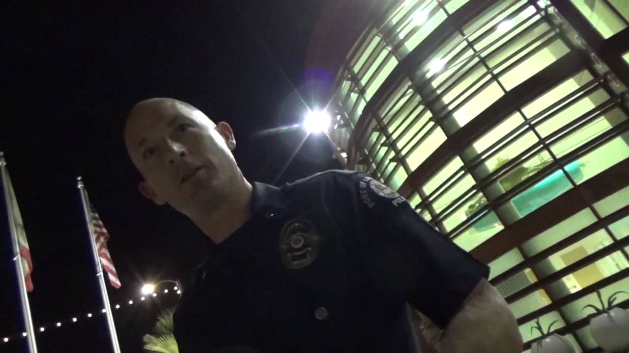 Los Angeles Port Police - Mistaken Bacon - Tom Zebra