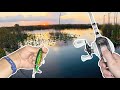 Fishing the Everglades For Whatever Bites (16+ FISH WERE CAUGHT!)