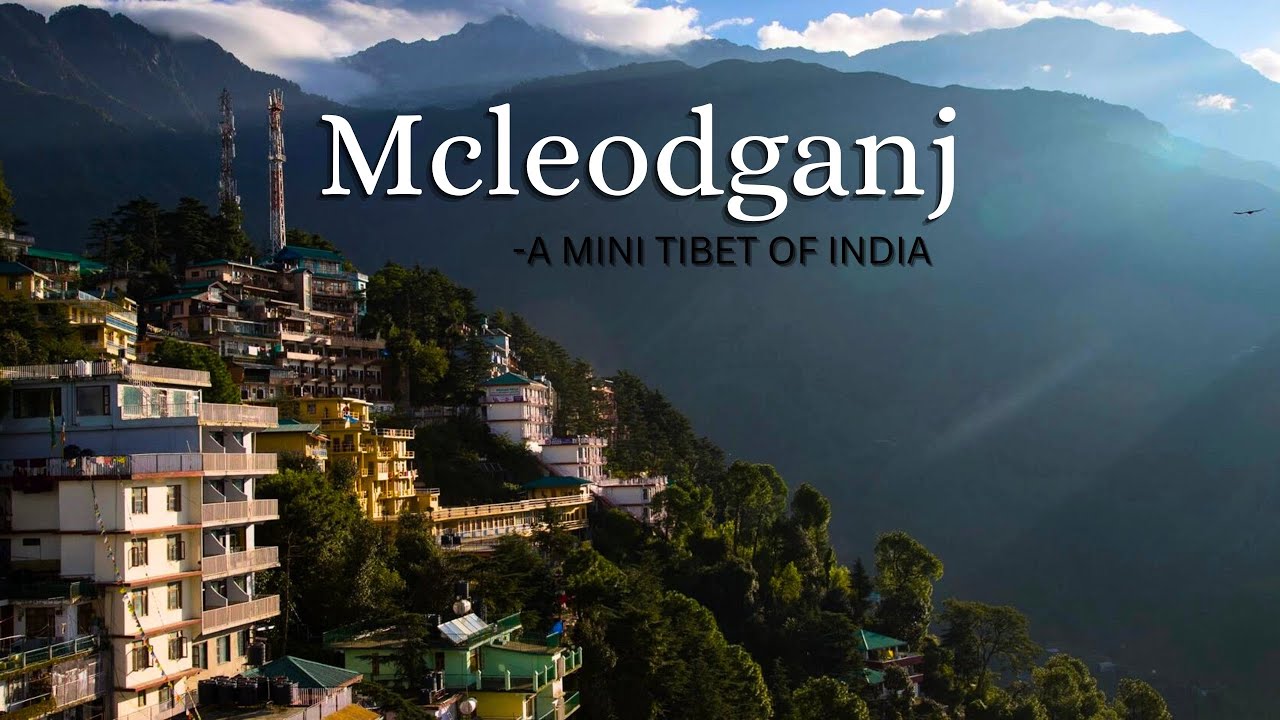 Mcleodganj | Triund trek | Dalai Lama temple | Dharamshala | Travel Plan for 2025! Complete guide