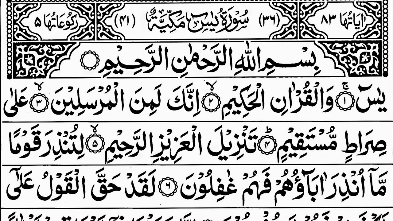 Surah Yaseen | Yasin Dua | Episode 441| Daily Quran Tilawat Surah Yasin Surah Rahman Complete