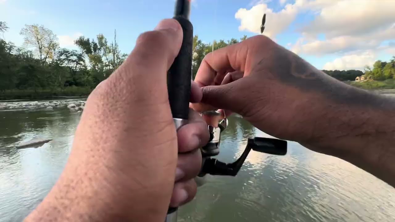 ENDLESS Amounts Of BASS To Be Caught Here