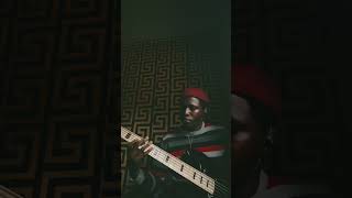 Bass cover;  All I want by Chrisbrown  ft Tyga