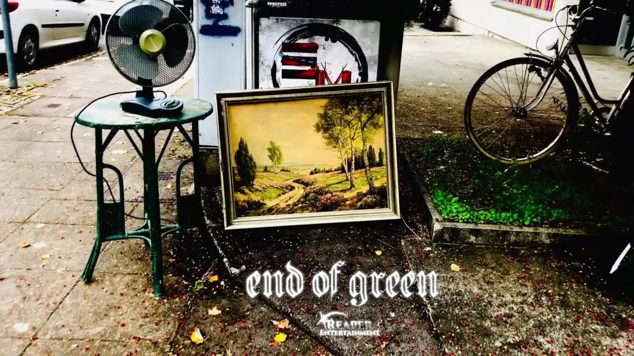 え*ん様 RiiSTETYT 希少 オリジナルGreen盤 VALTiON VA COCONUTS DISK WEBSTORE / Psychedelic
