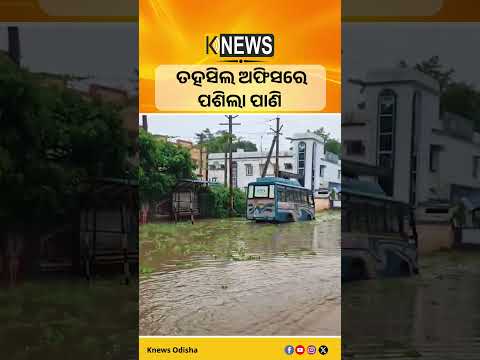 ଗଞ୍ଜାମ: ତହସିଲ ଅଫିସରେ ପଶିଲା ପାଣି #knewsodisha