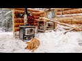 Top of the Wall! Building an Off Grid Log Cabin Alone in the Wilderness, Ep 11