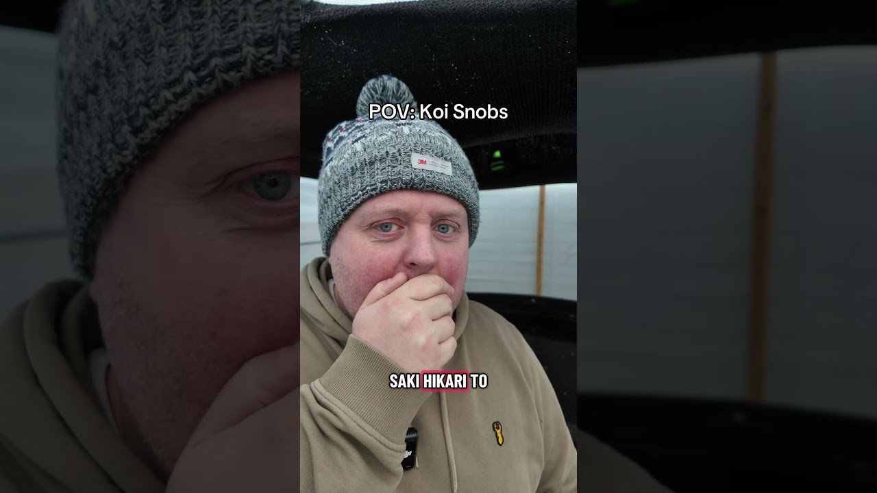 Все мы встречали одного 