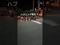 コルク狩りについて語ってたらコルクの集団が現れた
