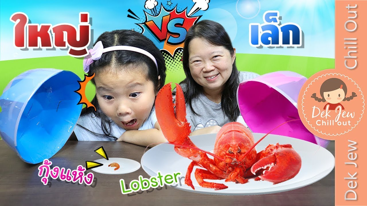 แอ พ เทอร์โมมิเตอร์ Update New เด็กจิ๋วเปิดฝาลุ้น ใหญ่ VS เล็ก