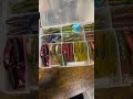 Culprit Water Beetle #shorts #bassfishinglures #bassfishing #youtubeshorts #shortsyoutube