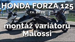 Honda Forza 125, montáž variátoru Malossi , #forza #125 #honda #variator #malossi